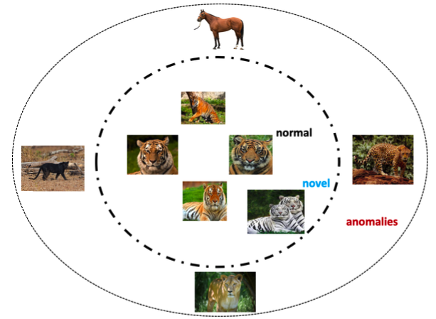 DAD Notes I: Introduction to Deep Learning for Anomaly Detection